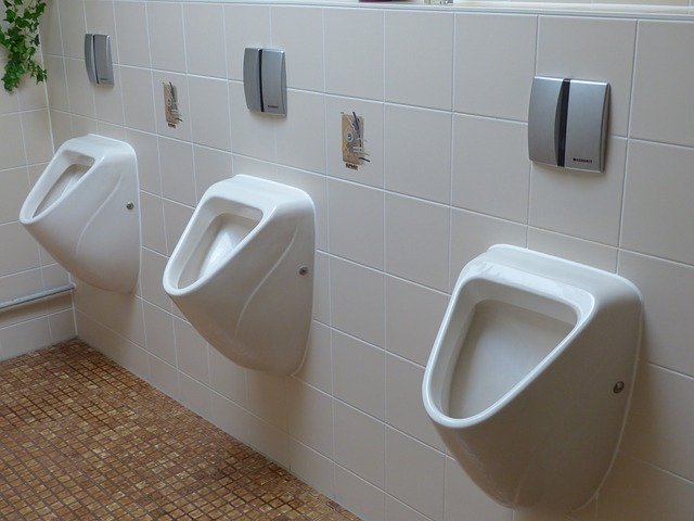 Prostata u mužov